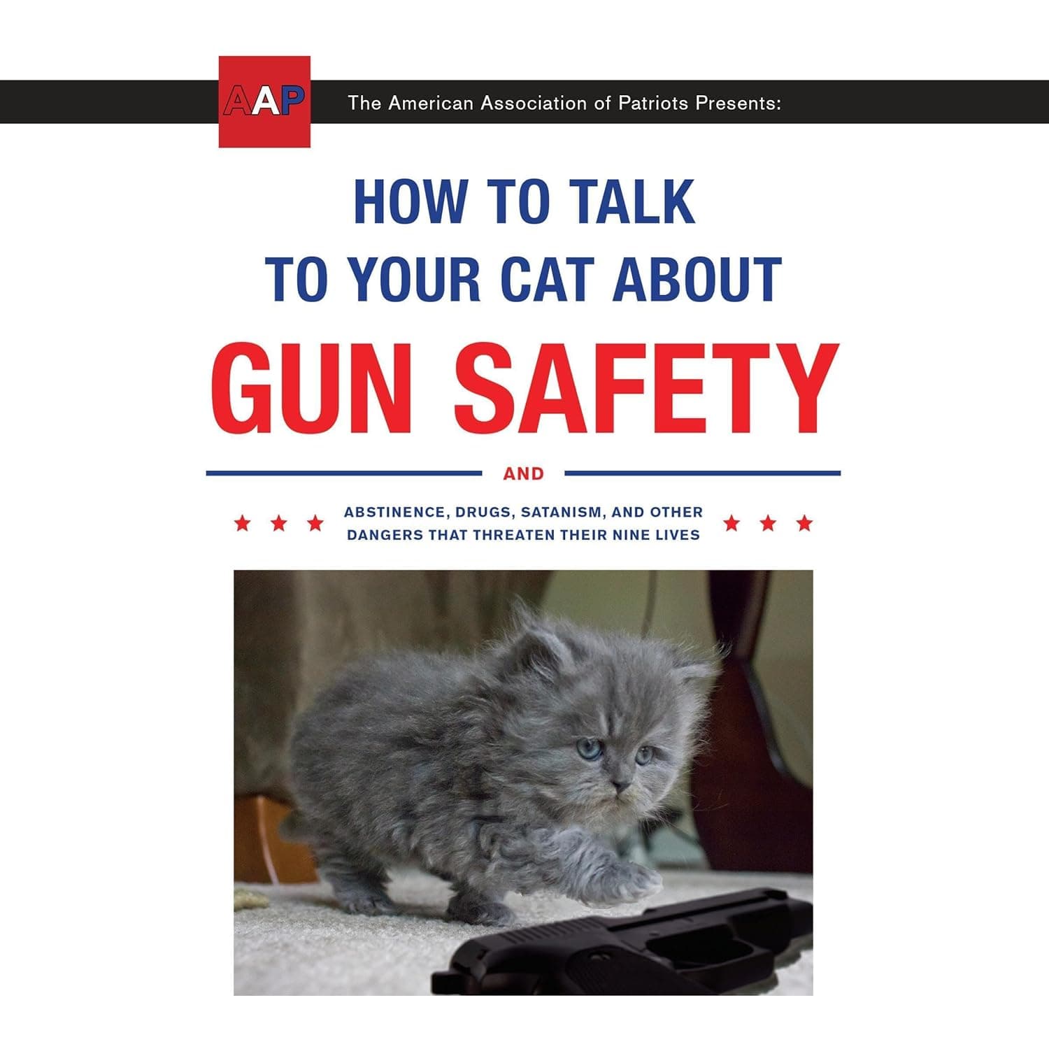 How to Talk to Your Cat About Gun Safety - Image 1